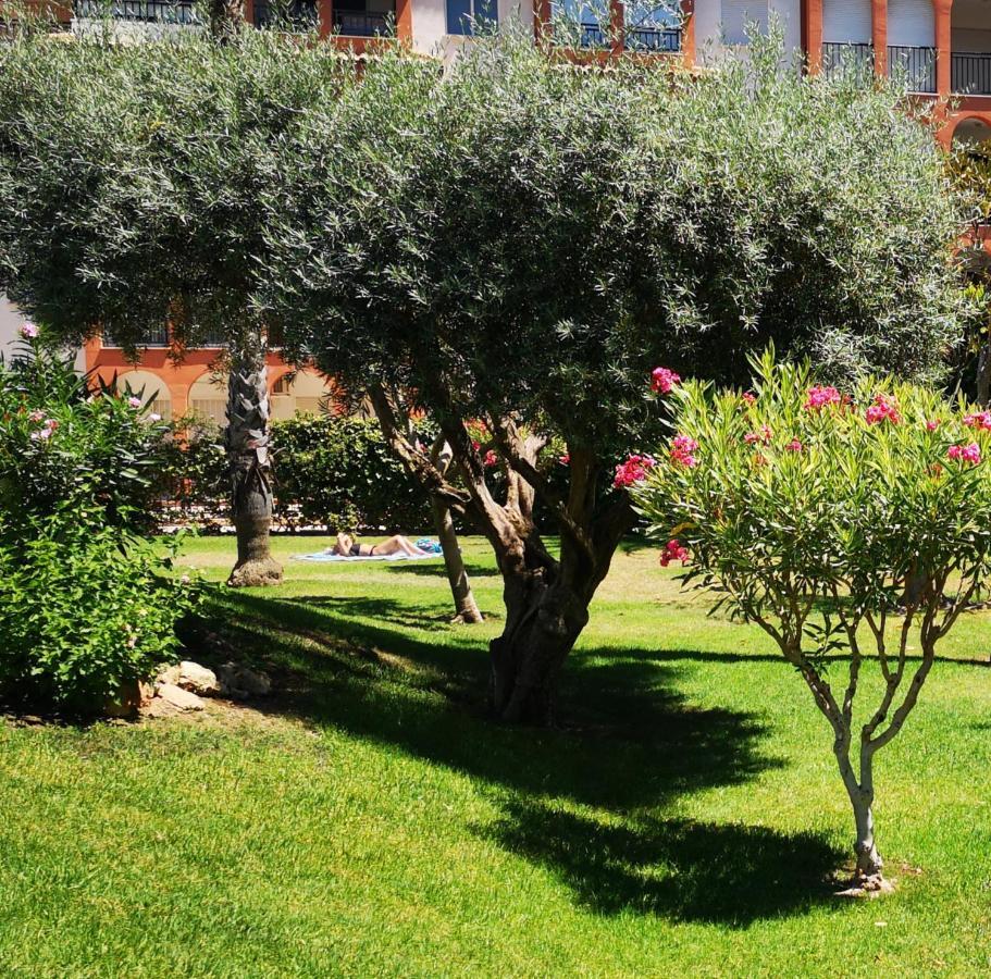 Studio With Terrace And Pool تورّيفيِخا المظهر الخارجي الصورة