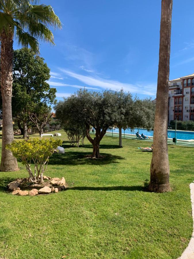 Studio With Terrace And Pool تورّيفيِخا المظهر الخارجي الصورة